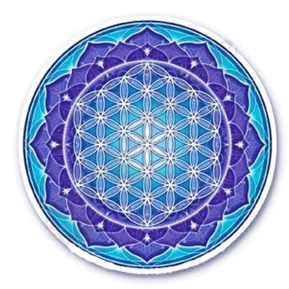 Élet virága mandala - ablakmatrica Élet virága mandala - ablakmatrica